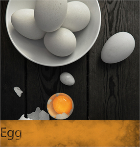 EggBowl